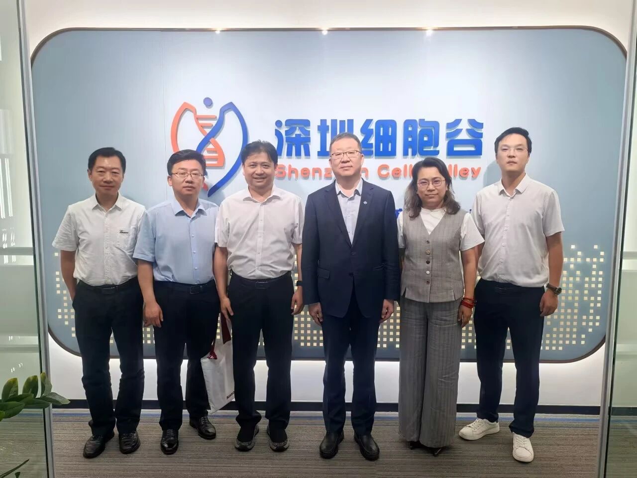 中国医药董事长杨光一行到访深圳kdpay钱包官网考察研讨